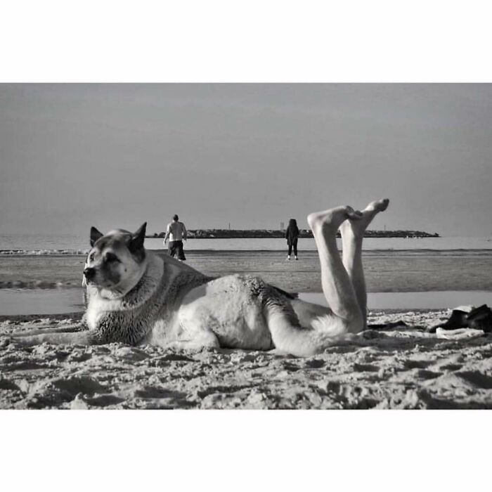 This Instagram Account Features Amusing Street Photographs And Has More Than 500 Thousand Followers (30 New Pics)