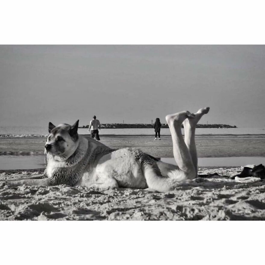 This Instagram Account Features Amusing Street Photographs And Has More Than 500 Thousand Followers (95 New Pics)