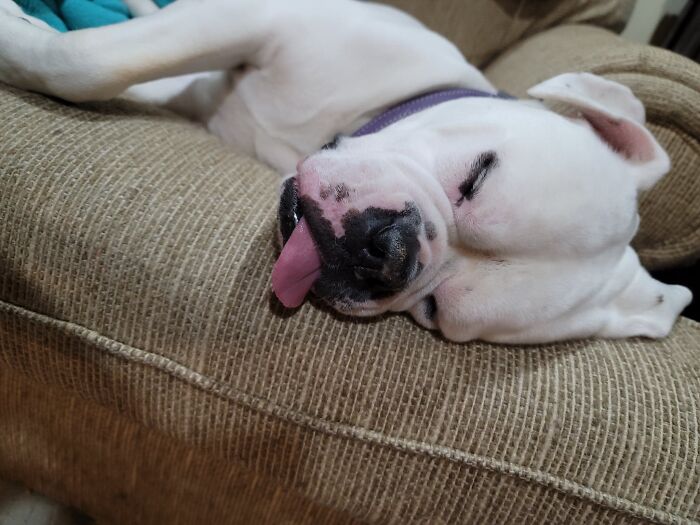 I Believe She's Dreaming Of Ice Cream. 🍦