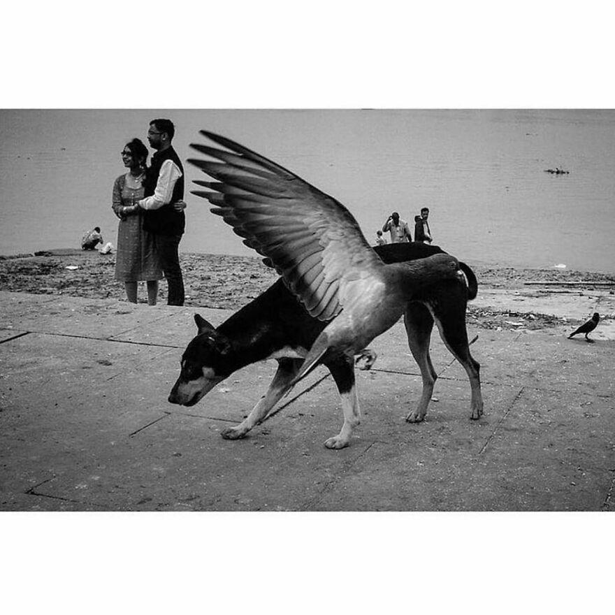 This Instagram Account Features Amusing Street Photographs And Has More Than 500 Thousand Followers (95 New Pics)