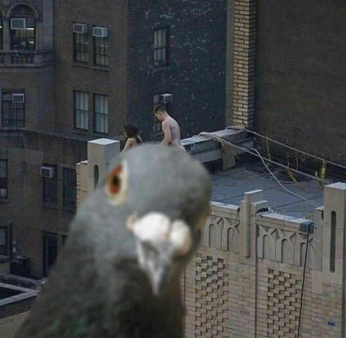 This Instagram Account Features Amusing Street Photographs And Has More Than 500 Thousand Followers (30 New Pics)