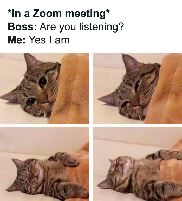 Cat under blanket in comic strip, humorously pretending to engage in a Zoom meeting, illustrating corporate humor.
