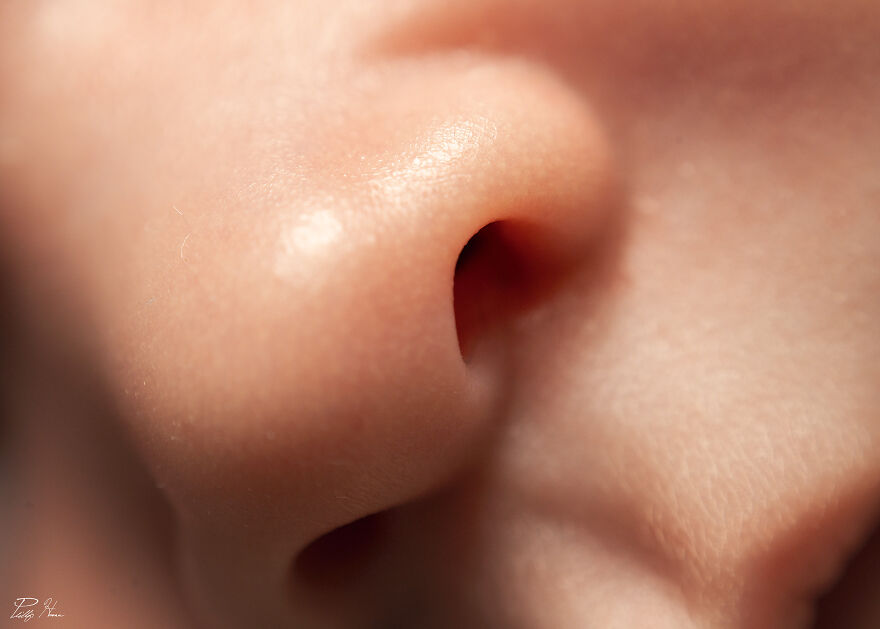 16 Photos Taken With My Homemade Macro Lens, And How To Make Your Own 16 Photos Taken With My Homemade Macro Lens, And How To Make Your Own