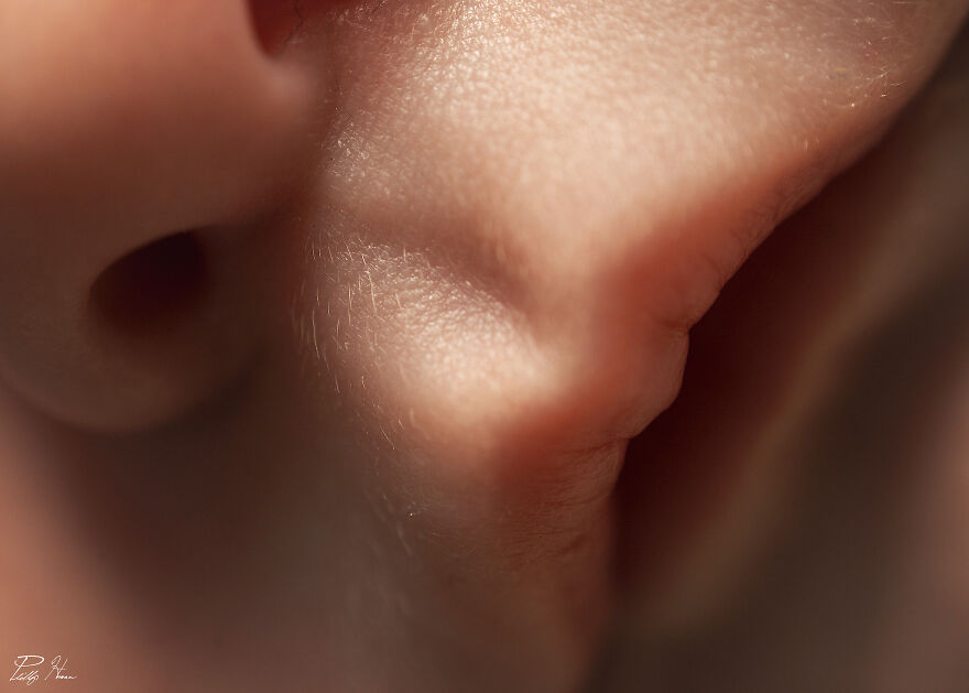 16 Photos Taken With My Homemade Macro Lens, And How To Make Your Own 16 Photos Taken With My Homemade Macro Lens, And How To Make Your Own