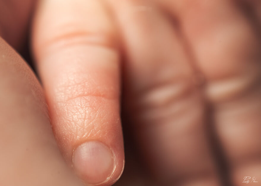 16 Photos Taken With My Homemade Macro Lens, And How To Make Your Own 16 Photos Taken With My Homemade Macro Lens, And How To Make Your Own