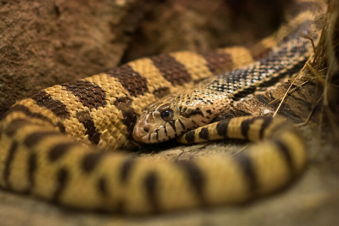 40 Of The Smallest Hills People Are Prepared To Die On, As Shared In This Online Group