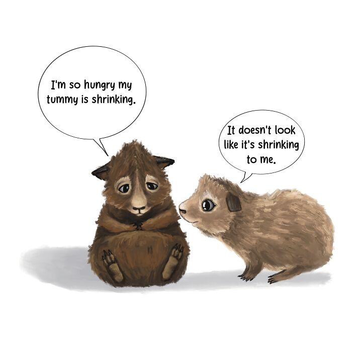 I Self-Published My Own Book "The Adventures Of Guinea Butt And Lacy Loo" (5 Pics) I Self-Published My Own Book "The Adventures Of Guinea Butt And Lacy Loo" (5 Pics)