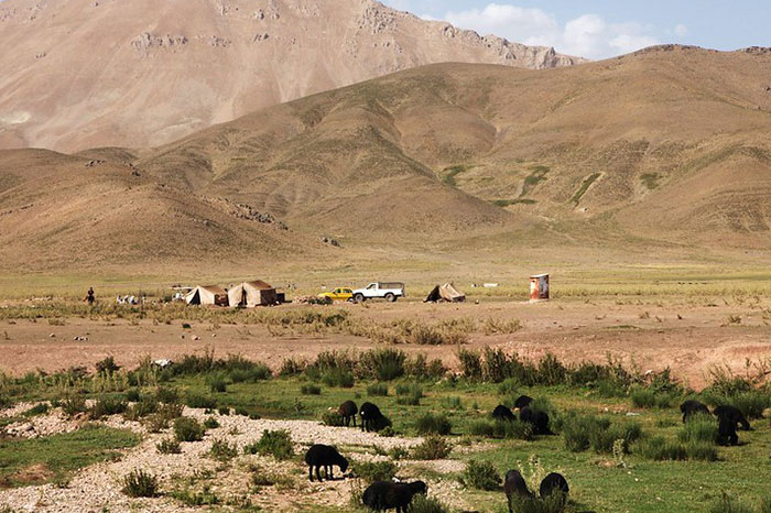 30 New ‘Today I Learned’ Facts That Prove It’s Never Too Late To Learn