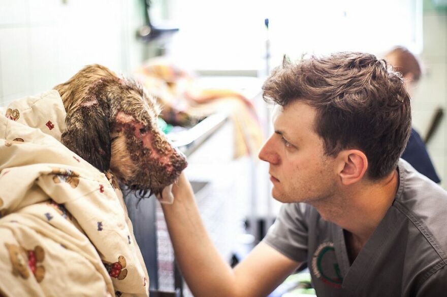 Brave Vet Rescues Traumatized Pets From Ukraine And Delivers Them To Safety