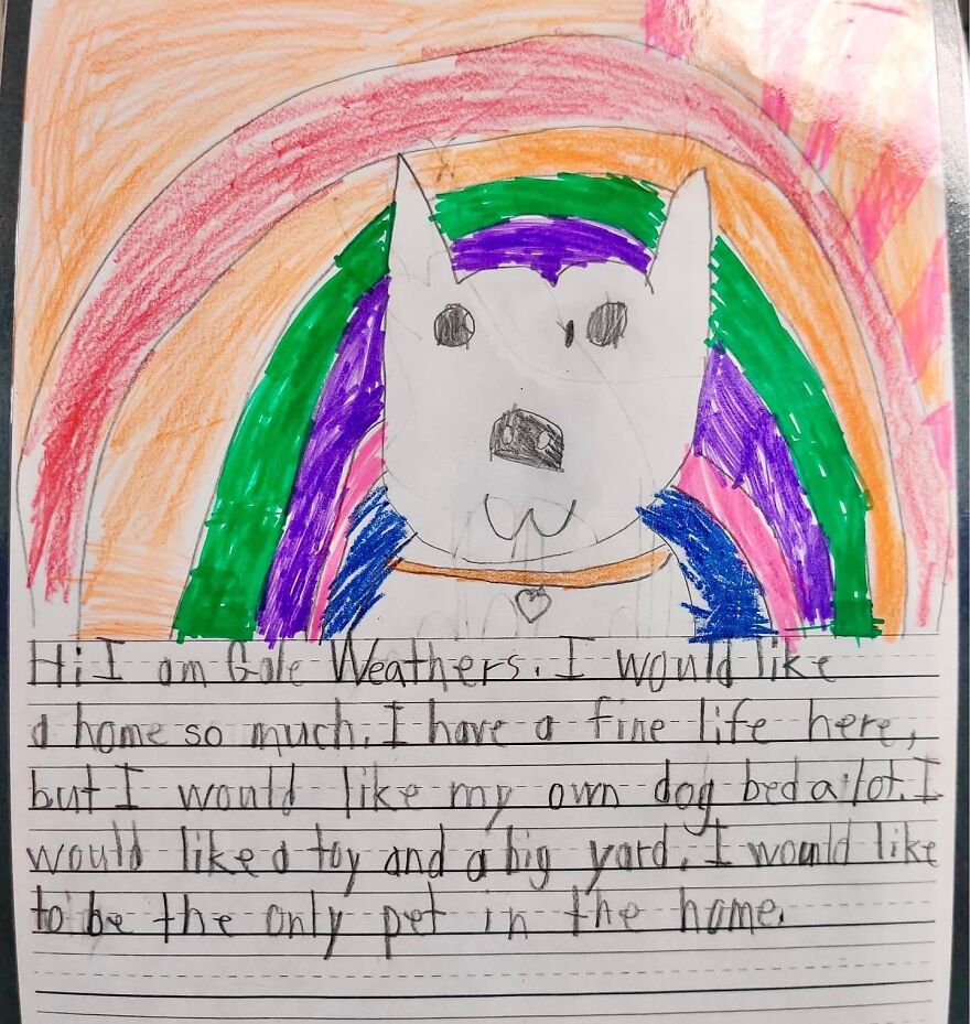 Second Graders Wrote Adorable Letters On Behalf Of Shelter Animals To Get Them Adopted, And It Worked