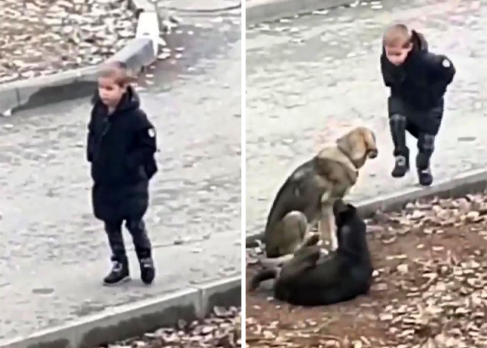 Video Shows Young Boy Stopping To Hug Two Stray Dogs When He Thinks No One Is Watching Video Shows Young Boy Stopping To Hug Two Stray Dogs When He Thinks No One Is Watching