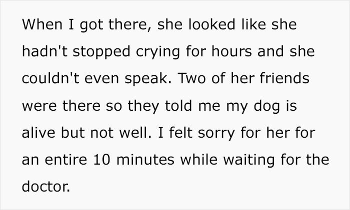 Man Gets Furious After Fiancée’s Carelessness Gets His Dog Sick, Cancels The Wedding Man Gets Furious After Fiancée’s Carelessness Gets His Dog Sick, Cancels The Wedding