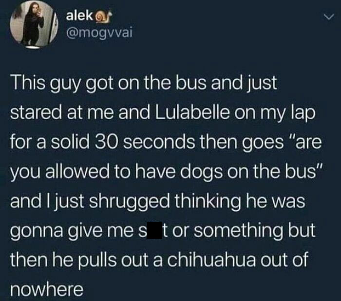 Pulled A Little Sneaky (T:mogvvai)