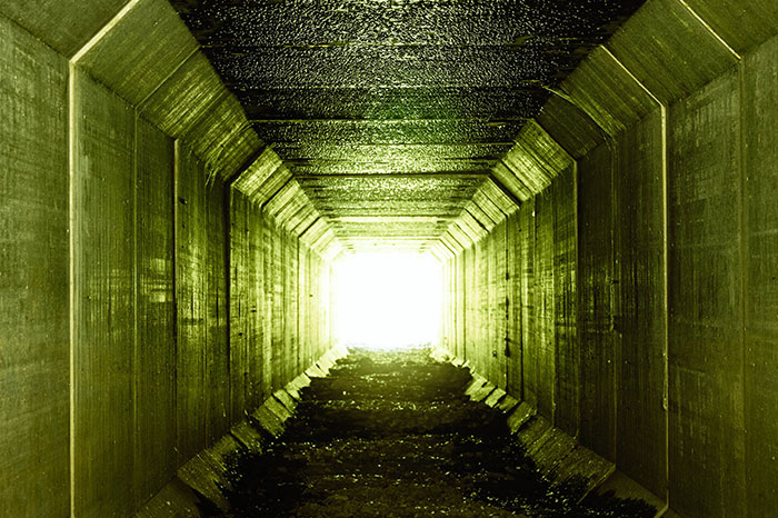 «Hoy aprendí»: 20 nuevos datos que demuestran que nunca es demasiado tarde para aprender algo nuevo