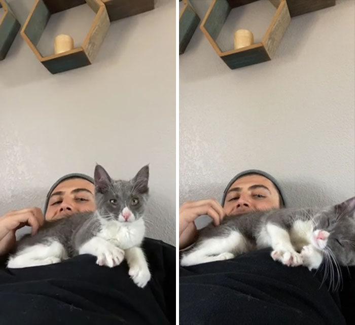 Got Back From The Shelter An Hour Ago, I Think She Is Settling In Nicely