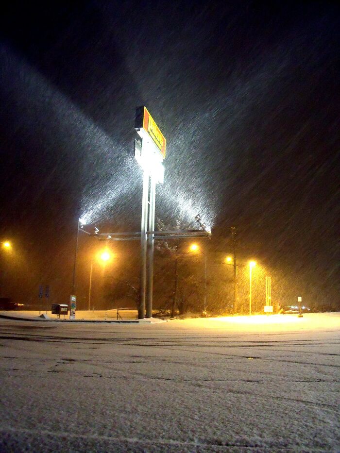 32 Folks Who Could Have Met Their End Due To Their Own Stupidity, As Shared Online