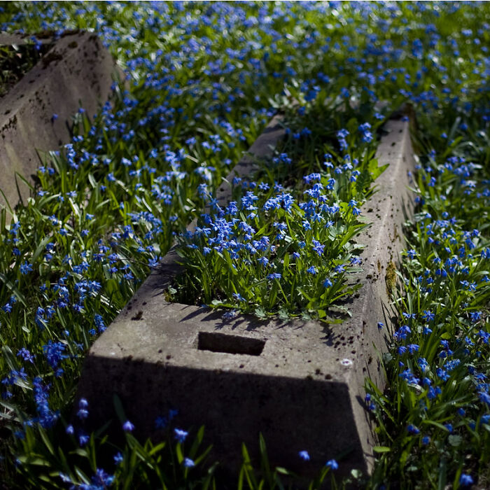 30 Of The Darkest Realities People Often Choose To Live In Denial About, As Shared By Folks Online