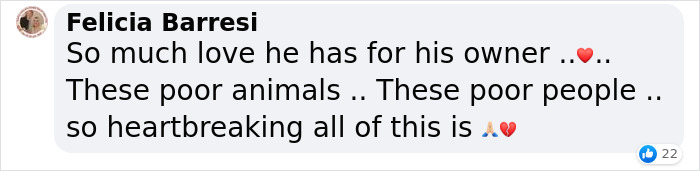 Wholesome Video Shows The Moment A Husky Is Reunited With Its Owner In Bucha, Ukraine, After Separation Caused By Russian Attacks