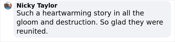 Wholesome Video Shows The Moment A Husky Is Reunited With Its Owner In Bucha, Ukraine, After Separation Caused By Russian Attacks