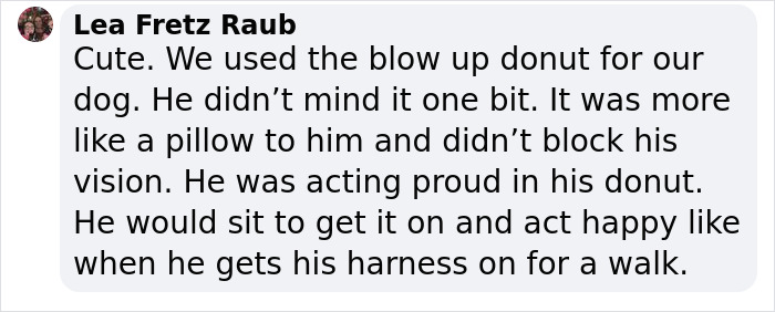 &ldquo;It&rsquo;s Always The Dads Who Didn&rsquo;t Want A Dog That End Up Loving Them The Most&rdquo;: Dad Wears An E Collar To Lift His Pup&rsquo;s Spirits After Surgery