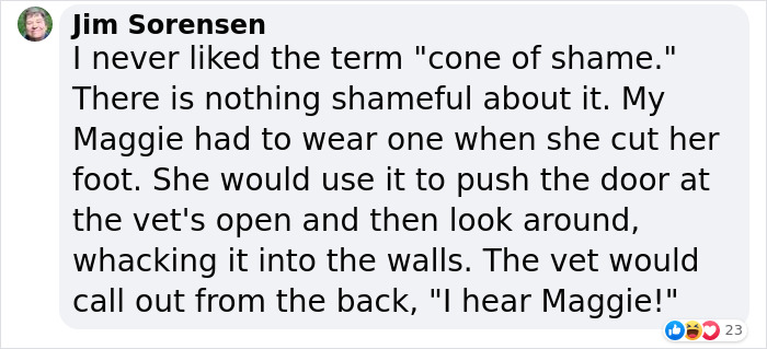 &ldquo;It&rsquo;s Always The Dads Who Didn&rsquo;t Want A Dog That End Up Loving Them The Most&rdquo;: Dad Wears An E Collar To Lift His Pup&rsquo;s Spirits After Surgery