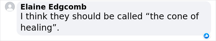 &ldquo;It&rsquo;s Always The Dads Who Didn&rsquo;t Want A Dog That End Up Loving Them The Most&rdquo;: Dad Wears An E Collar To Lift His Pup&rsquo;s Spirits After Surgery
