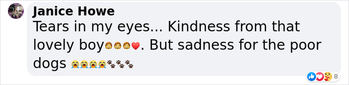 Video Shows Young Boy Stopping To Hug Two Stray Dogs When He Thinks No One Is Watching Video Shows Young Boy Stopping To Hug Two Stray Dogs When He Thinks No One Is Watching