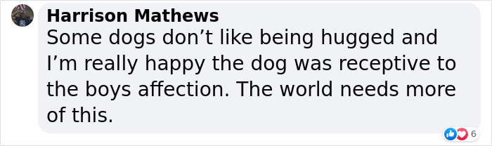 Video Shows Young Boy Stopping To Hug Two Stray Dogs When He Thinks No One Is Watching Video Shows Young Boy Stopping To Hug Two Stray Dogs When He Thinks No One Is Watching