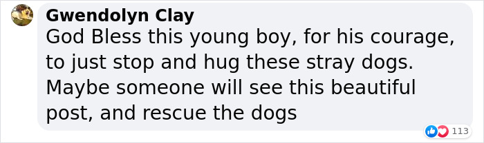 Video Shows Young Boy Stopping To Hug Two Stray Dogs When He Thinks No One Is Watching Video Shows Young Boy Stopping To Hug Two Stray Dogs When He Thinks No One Is Watching