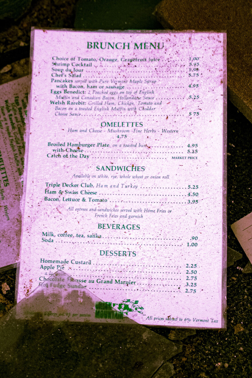 Adventure With Floof…at The Track! Adventure With Floof…at The Track!