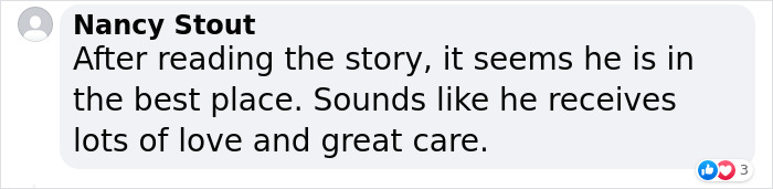 Happy 23rd Birthday To Bully The Chihuahua, Becoming The Oldest Dog At His Rescue Happy 23rd Birthday To Bully The Chihuahua, Becoming The Oldest Dog At His Rescue