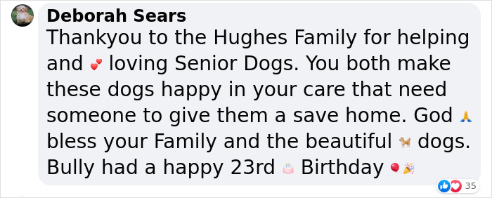 Happy 23rd Birthday To Bully The Chihuahua, Becoming The Oldest Dog At His Rescue Happy 23rd Birthday To Bully The Chihuahua, Becoming The Oldest Dog At His Rescue
