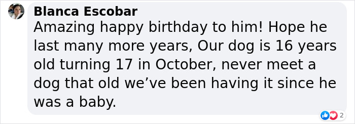 Happy 23rd Birthday To Bully The Chihuahua, Becoming The Oldest Dog At His Rescue Happy 23rd Birthday To Bully The Chihuahua, Becoming The Oldest Dog At His Rescue