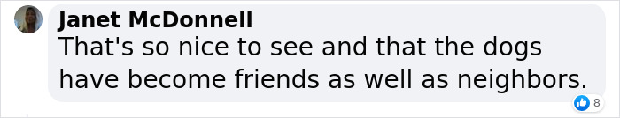 Neighbor Covertly Plays Fetch With Dog But Gets Caught By Owner Amid Wholesome Act Neighbor Covertly Plays Fetch With Dog But Gets Caught By Owner Amid Wholesome Act