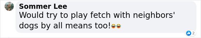 Neighbor Covertly Plays Fetch With Dog But Gets Caught By Owner Amid Wholesome Act Neighbor Covertly Plays Fetch With Dog But Gets Caught By Owner Amid Wholesome Act