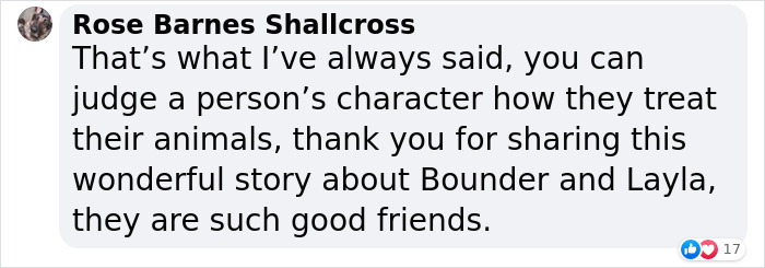 Neighbor Covertly Plays Fetch With Dog But Gets Caught By Owner Amid Wholesome Act Neighbor Covertly Plays Fetch With Dog But Gets Caught By Owner Amid Wholesome Act