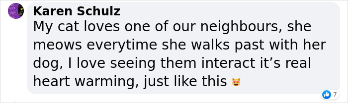 Neighbor Covertly Plays Fetch With Dog But Gets Caught By Owner Amid Wholesome Act Neighbor Covertly Plays Fetch With Dog But Gets Caught By Owner Amid Wholesome Act
