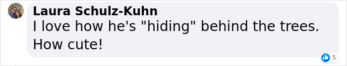 Neighbor Covertly Plays Fetch With Dog But Gets Caught By Owner Amid Wholesome Act Neighbor Covertly Plays Fetch With Dog But Gets Caught By Owner Amid Wholesome Act