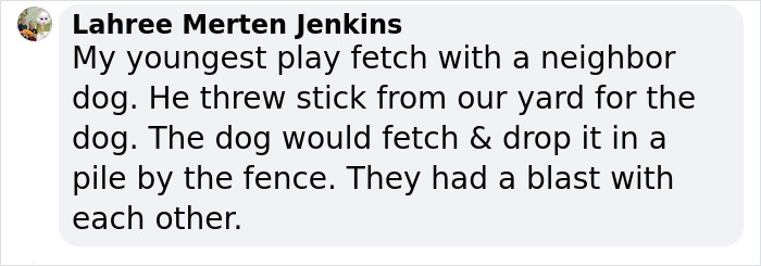 Neighbor Covertly Plays Fetch With Dog But Gets Caught By Owner Amid Wholesome Act Neighbor Covertly Plays Fetch With Dog But Gets Caught By Owner Amid Wholesome Act