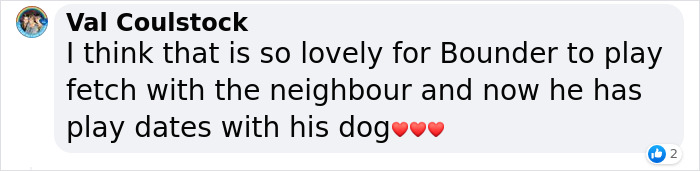 Neighbor Covertly Plays Fetch With Dog But Gets Caught By Owner Amid Wholesome Act Neighbor Covertly Plays Fetch With Dog But Gets Caught By Owner Amid Wholesome Act