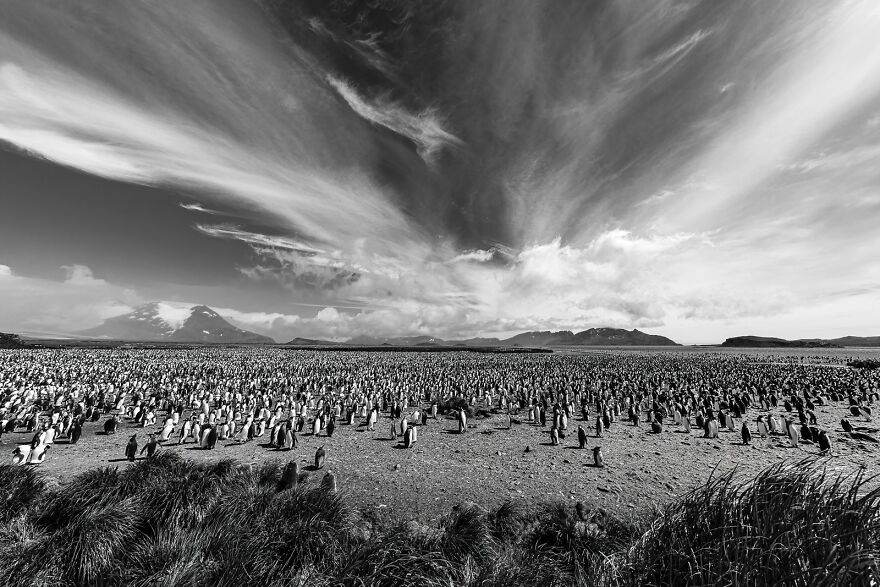 The Lost World The Lost World