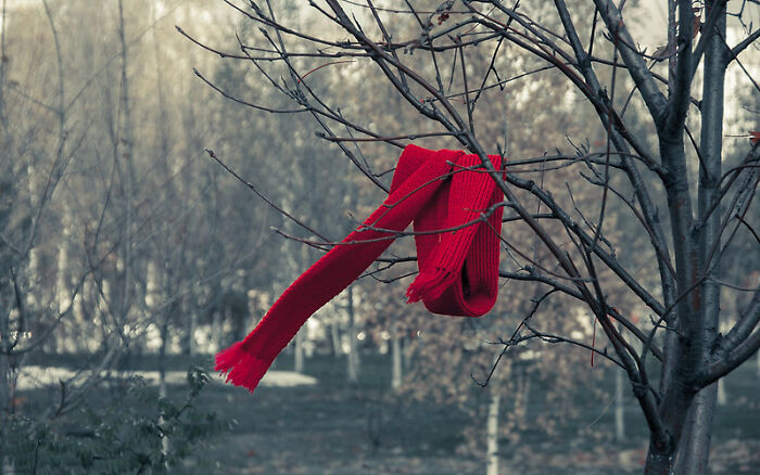 30 Facts That People Found Out Were False Way Too Late In Life, As Shared In This Online Community