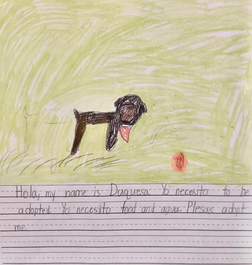 Second Graders Wrote Adorable Letters On Behalf Of Shelter Animals To Get Them Adopted, And It Worked