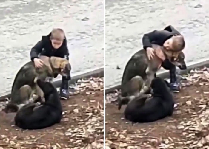 Video Shows Young Boy Stopping To Hug Two Stray Dogs When He Thinks No One Is Watching Video Shows Young Boy Stopping To Hug Two Stray Dogs When He Thinks No One Is Watching