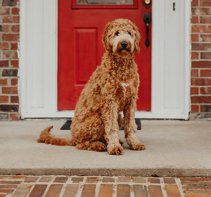 35 Stories That Sound 100% Made Up But Are Actually True