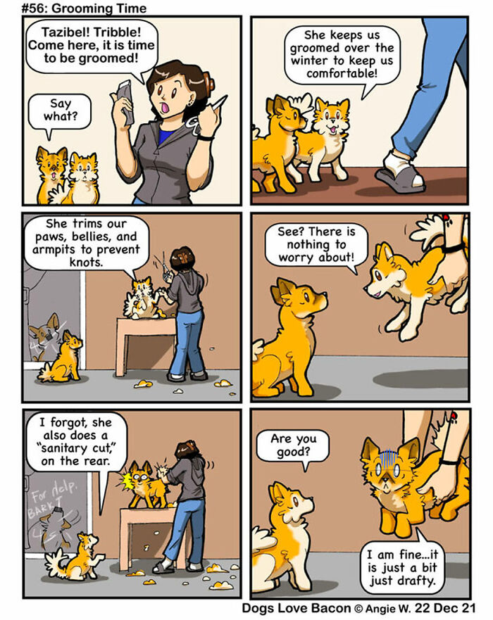 I Started A Comic About My Rescue Dogs, And Here Are Some More Comics!