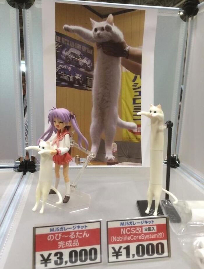 Japanese Stuff Without Context