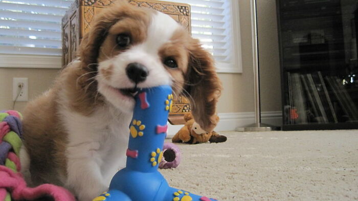 “People Who've Been Banned From Somewhere For Life, What Happened?” (30 Answers)