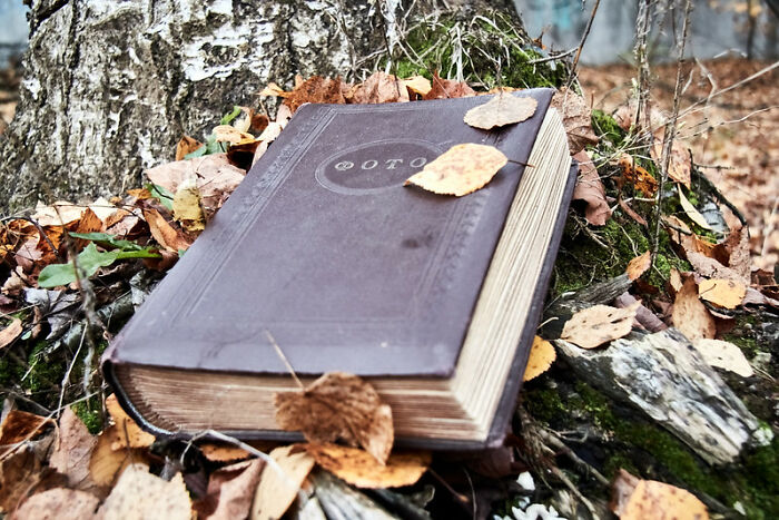 30 Of The Darkest Realities People Often Choose To Live In Denial About, As Shared By Folks Online