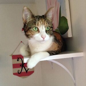 kathleenwalker avatar